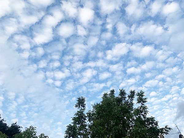 ひつじ雲