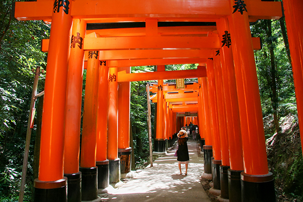 日差しがきれいな朱塗りの鳥居と夏の参道